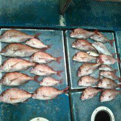 フィッシングガイド りょう 釣果