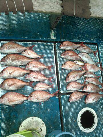 フィッシングガイド りょう 釣果