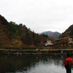 小菅トラウトガーデン 釣果