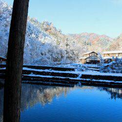 小菅トラウトガーデン 釣果