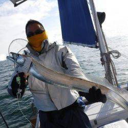 遊漁船 幸友丸 釣果