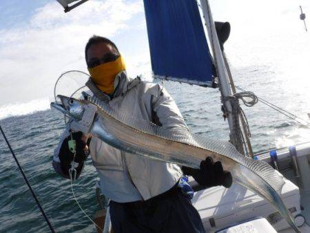 遊漁船 幸友丸 釣果