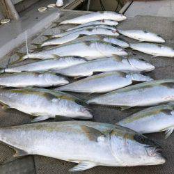 寿裕 (YOSHIHIRO) 釣果