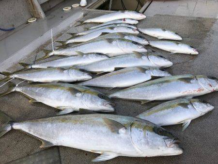 寿裕 (YOSHIHIRO) 釣果