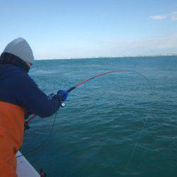 美里丸 釣果