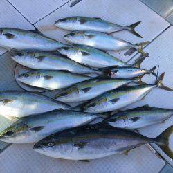 ふじしめ丸 釣果