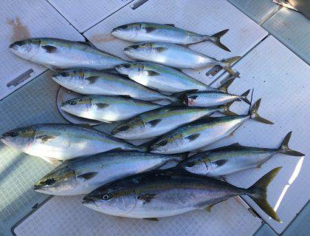 ふじしめ丸 釣果