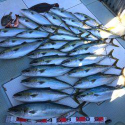 ふじしめ丸 釣果