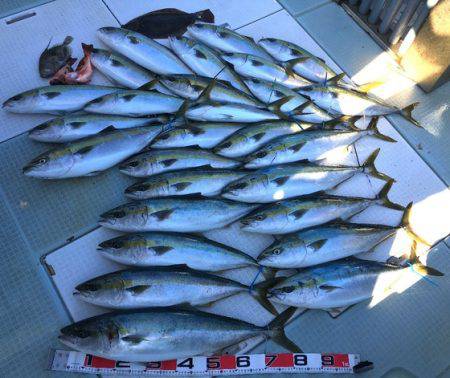 ふじしめ丸 釣果