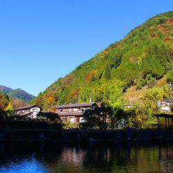 小菅トラウトガーデン 釣果