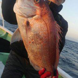 遊漁船 新鋭丸 釣果