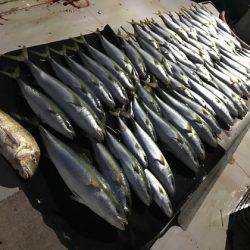 寿裕 (YOSHIHIRO) 釣果