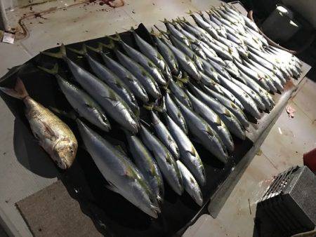 寿裕 （YOSHIHIRO） 釣果