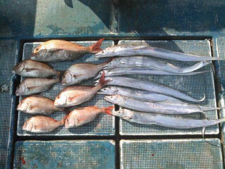 フィッシングガイド りょう 釣果