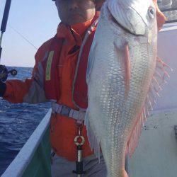 遊漁船 新鋭丸 釣果