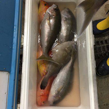 フィッシングハウス伊藤 釣果