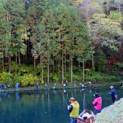 小菅トラウトガーデン 釣果