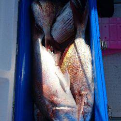 遊漁船ブルーウッズ 釣果