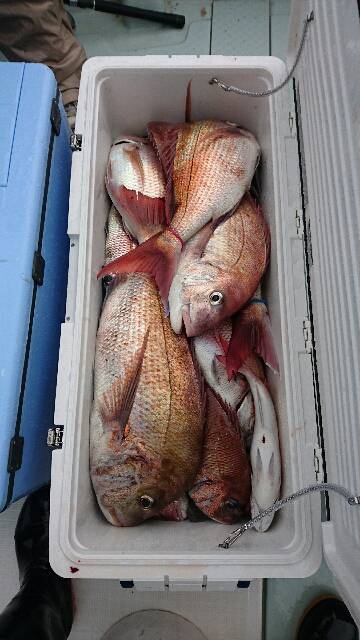 遊漁船ブルーウッズ 釣果