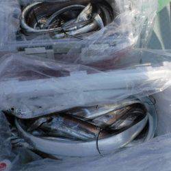 遊漁船 幸友丸 釣果