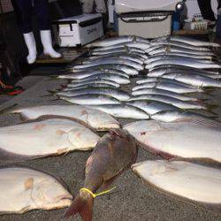 幸風（さちかぜ） 釣果