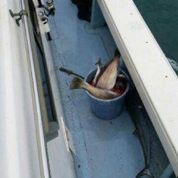 第五慶門丸 釣果