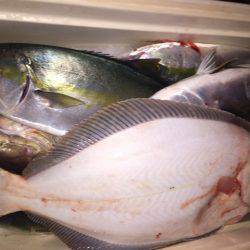 幸風(さちかぜ) 釣果