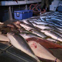 幸風（さちかぜ） 釣果