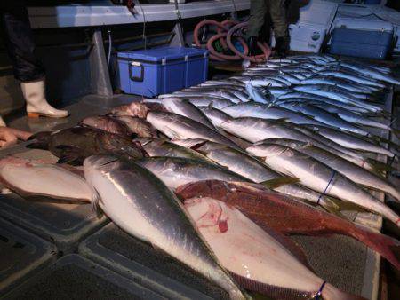 幸風（さちかぜ） 釣果