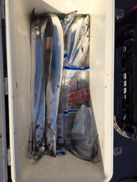 遊漁船高橋 釣果