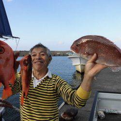 大進丸(新潟) 釣果