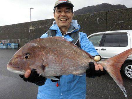 大進丸(新潟) 釣果