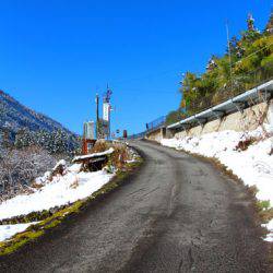 小菅トラウトガーデン 釣果