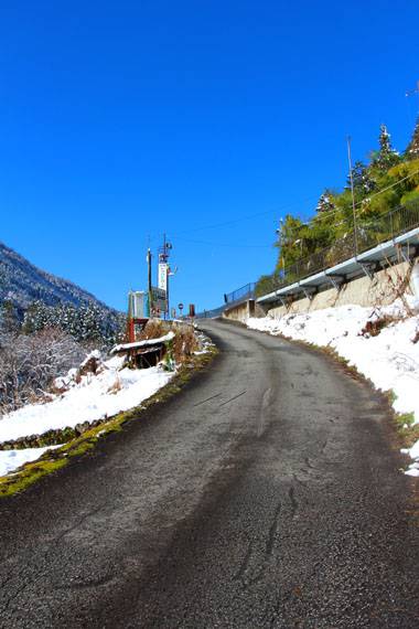 小菅トラウトガーデン 釣果