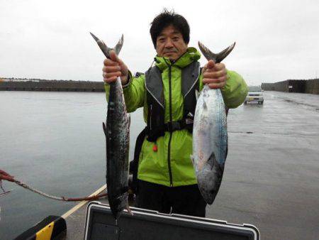 大進丸(新潟) 釣果