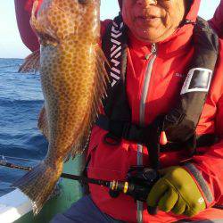 遊漁船 新鋭丸 釣果