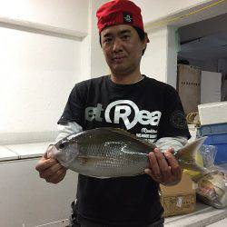 フィッシングハウス伊藤 釣果