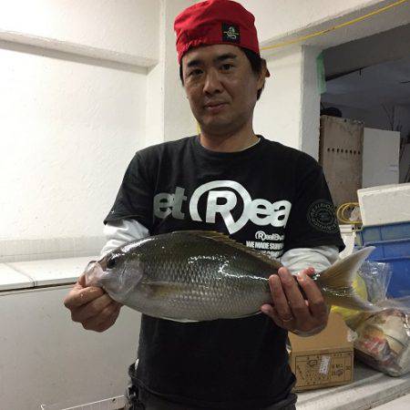 フィッシングハウス伊藤 釣果