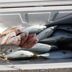 大進丸(新潟) 釣果