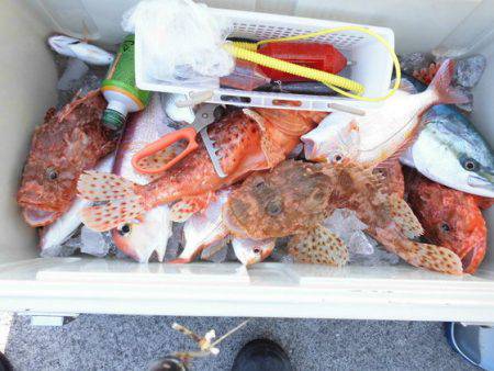 大進丸(新潟) 釣果