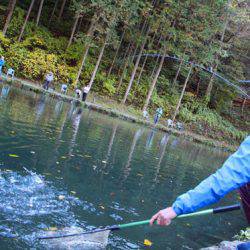 小菅トラウトガーデン 釣果
