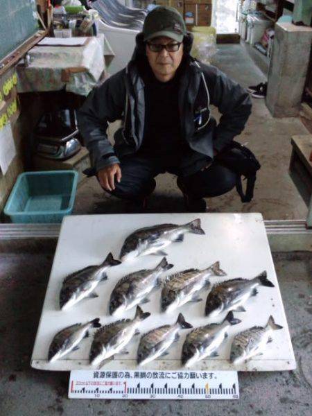 ふじや釣舟店 釣果