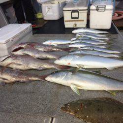 幸風(さちかぜ) 釣果