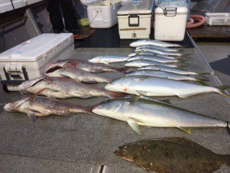 幸風(さちかぜ) 釣果