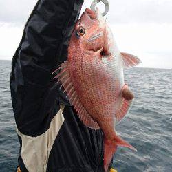 遊漁船ブルーウッズ 釣果