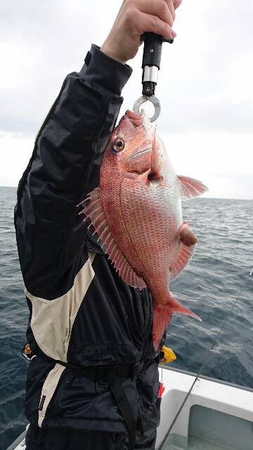 遊漁船ブルーウッズ 釣果