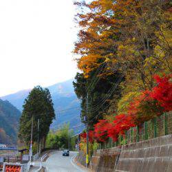 小菅トラウトガーデン 釣果