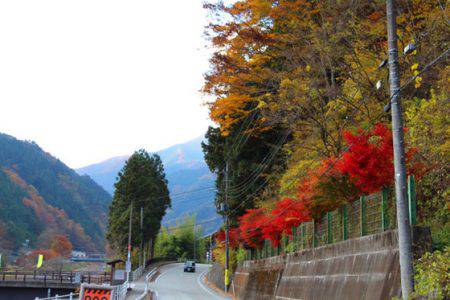 小菅トラウトガーデン 釣果