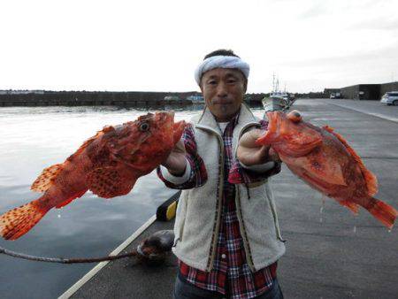 大進丸(新潟) 釣果
