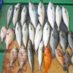 真祐丸 (しんゆうまる) 釣果